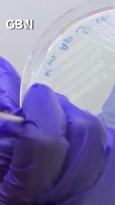 You will eat ze platsic