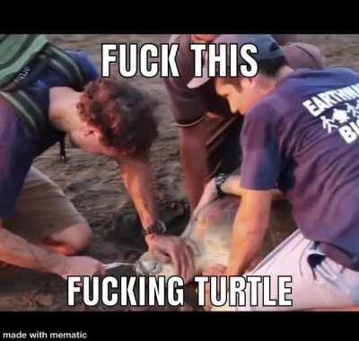 Turtle cum 😳