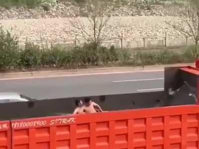 the idea is ingenious