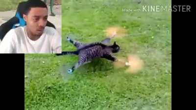 I have watched this about 100 times now