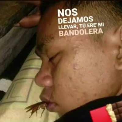 Solo quería amor 👉👈