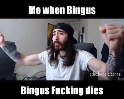 I'm sick of the Bingus lovers, Floppa must prevail