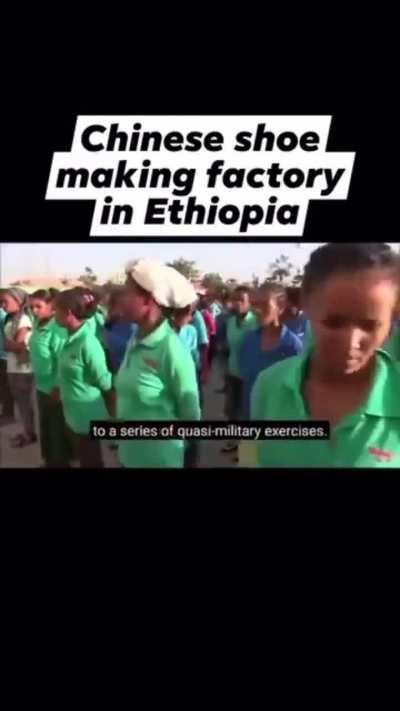 Now we have a representative for Eastoid colonizers.