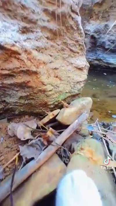 *finds water* *screams*