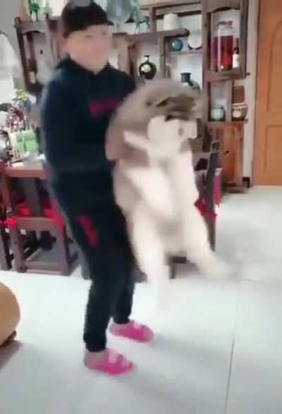 Road to the ultimate floof