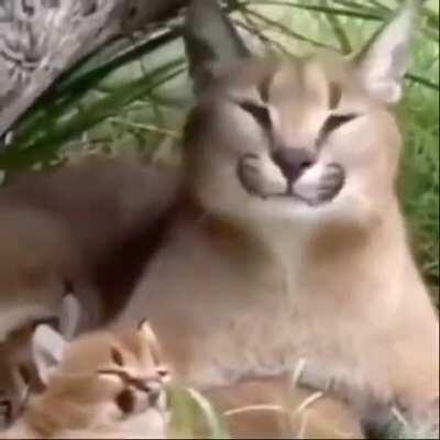 Blessing y'all with this beauty