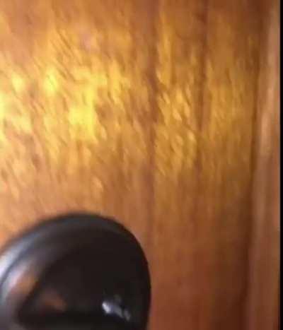 Why does it spy on the house?