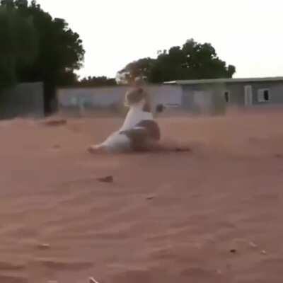 poptart cat on earth