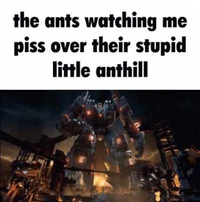 He probably got bit by an ant