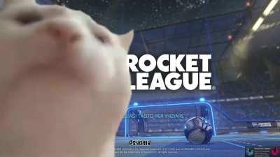 Me everytime i open Rocket League