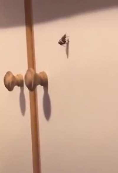 At least they had sex