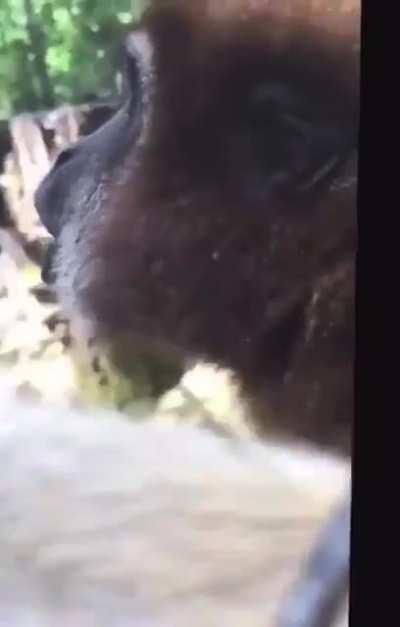 Yo cuando el churro abre directo