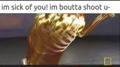 how to deal with the quiet kid: