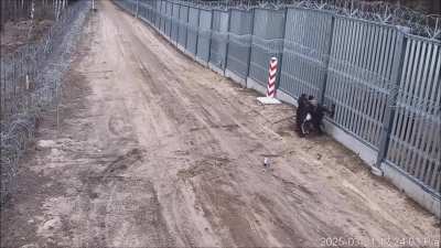 Polish border guards stopped illegal crossing of the Polish-Belarus border last Friday (21.03.2025) near Czeremcha.