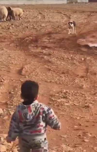 A (short) tale of confidence