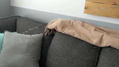 Great at hide and seek