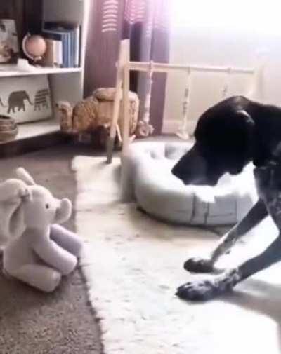 What demonery is this?