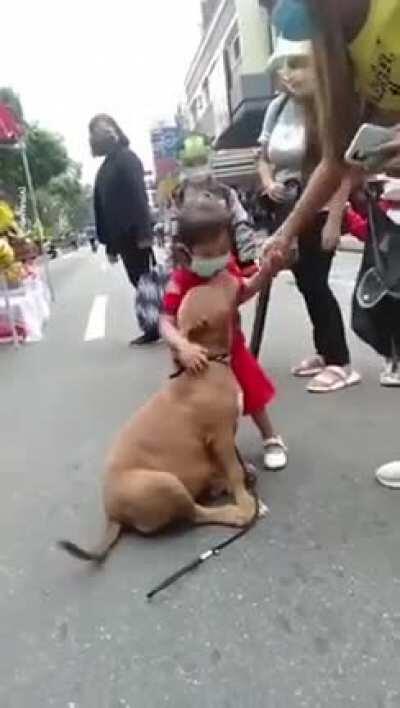 Me when I see strangers dog in public