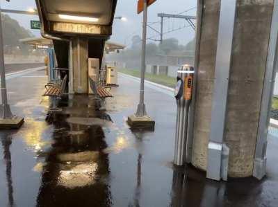sudden downpour in nth strathfield