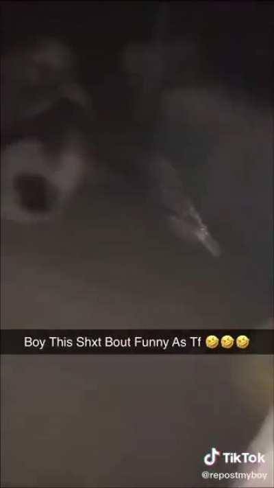 NEVER SAW A MF GET FUCKED UP BY A DONKEY😂😂