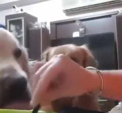 He never wants to share