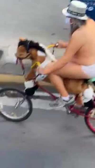 Wearing a mask but nothing to cover those honkers