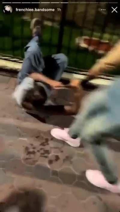 Don't abuse animals in front of 