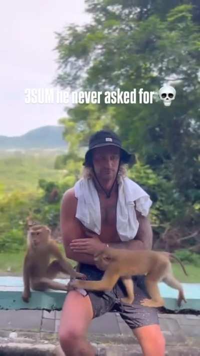 Monkey wants something 💀