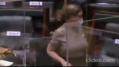 Presenting Tim Smith, the Liberal member for Kew