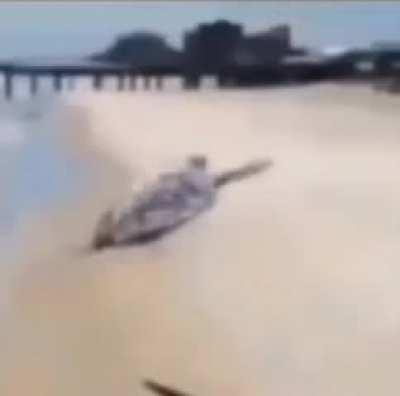 0:07 one of thosemoldy🥵