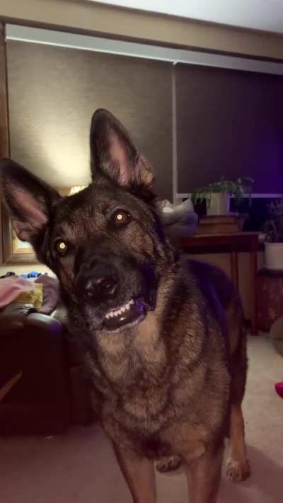 Maybe he should be named 