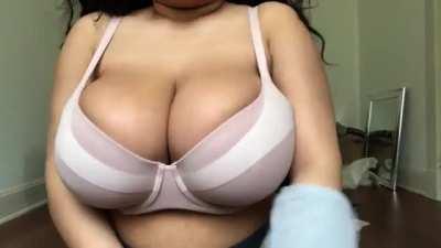 They’re Magnificent