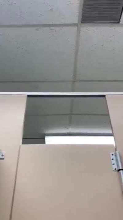 I think my friend died after he sent me this