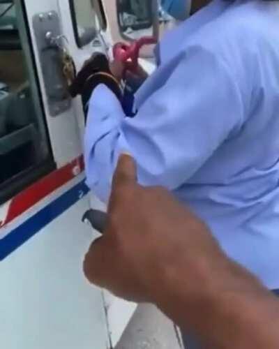 What in the Arby's curly fries is going on?