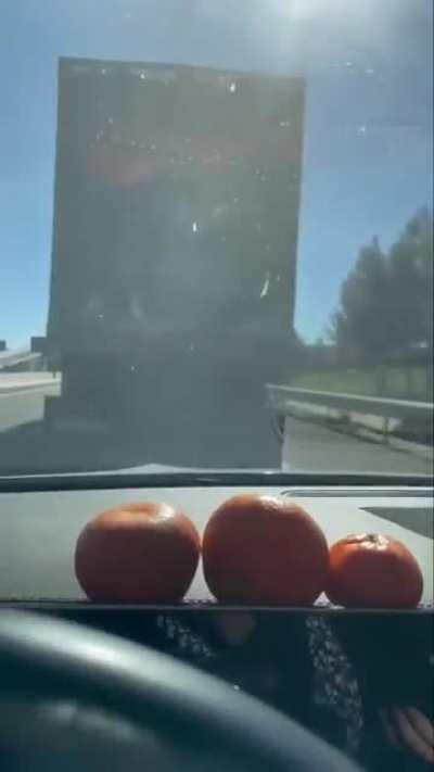 Dumb af, but still badass