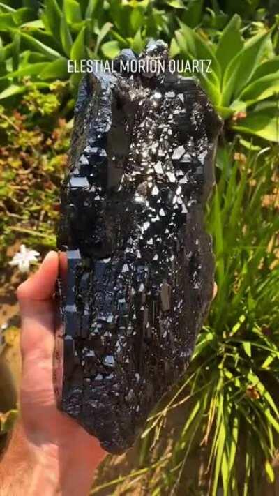 Malachite looks a lil furry