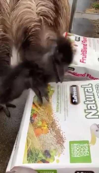 Hey you can't eat these...