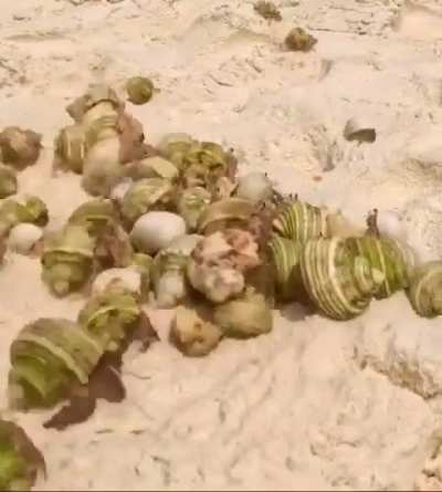 POV: You Want To Go Anywhere In Coral Caves