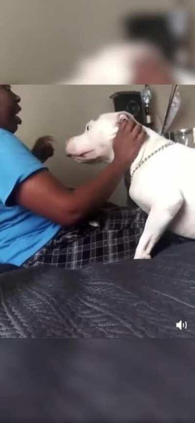 Obedience training goes a long ways.