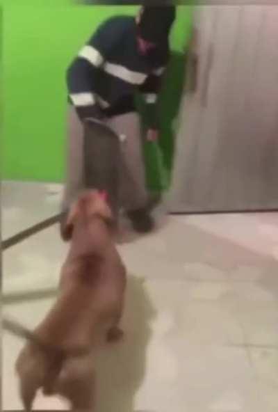 Beware of dog! with machete!