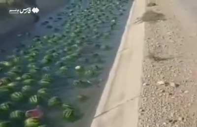 البطيخ يطفو في النهر