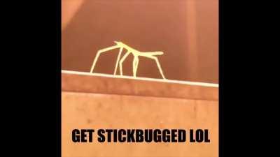 I've never seen this before