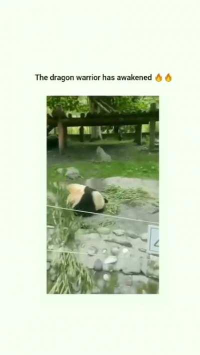 EVERYBODY WAS KUNG FU FIGHTING ☯️