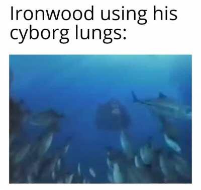 Who's to say he doesn't have those upgrades installed?