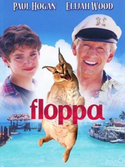 Plz someone understand the reference :’)