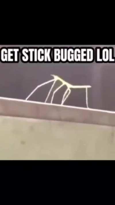 Did Mr Cow know about this in Minecraft???