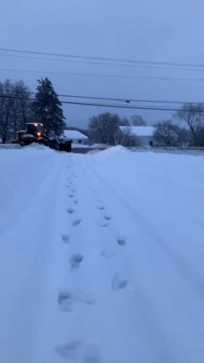 Hopelessly shoveling extremely heavy and wet snow out of my driveway out at six in the morning when a front loader operator driving by feels like saving my life. Absolute hero.
