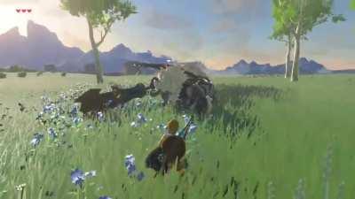 I DISCOMBOBULATED the great plateau lynel using a boulder