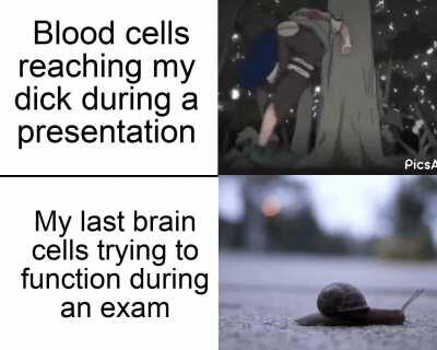 I was never a smart kid