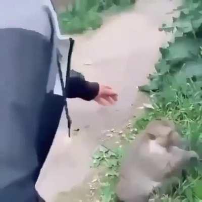 🔥Welcome to Brazil🔥